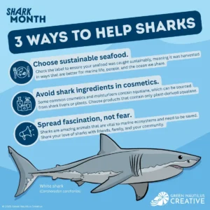 help-sharks-great-white
