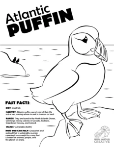 puffin-coloring-page
